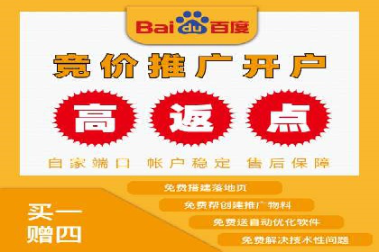 SEM广告投放策略案例分析